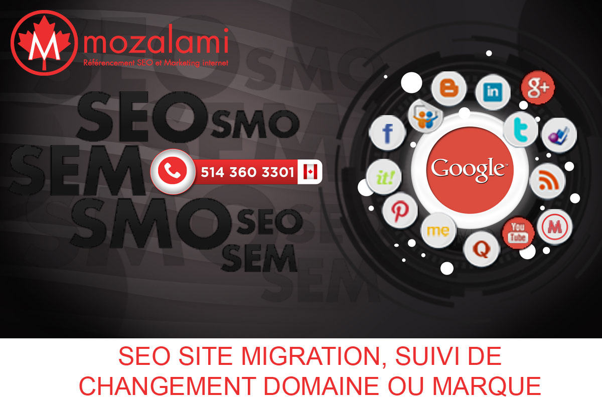 seo-site-migration-suivi-changement-domaine-marque-mozalami